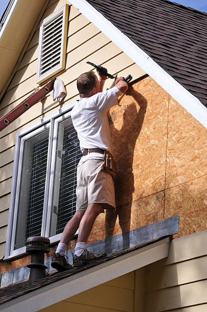 Best Shed Removal  in Wadsworth, IL